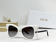 Dior Sunglasses 30 - 5