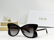 Dior Sunglasses 30 - 2