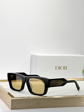 Dior Sunglasses 31