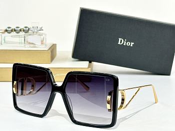Dior Sunglasses 35