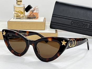 Dior Sunglasses 41