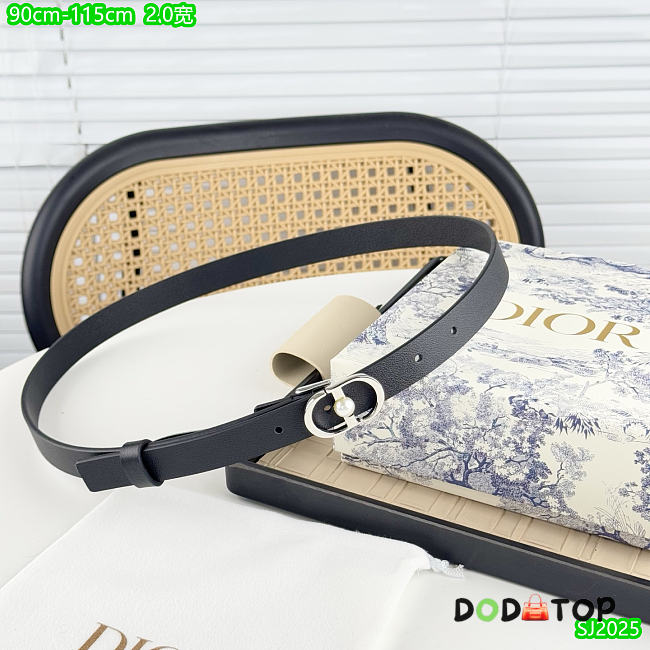 CD Belt 2cm - 03 - 1