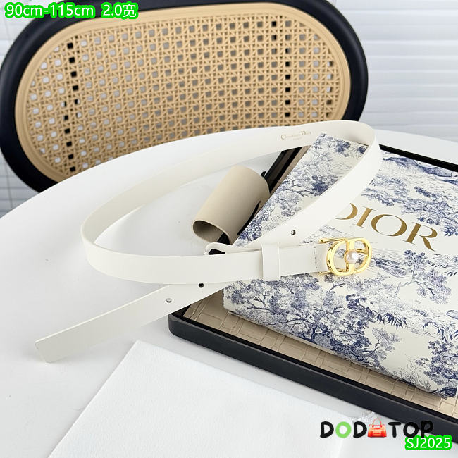 CD Belt 2cm - 04 - 1