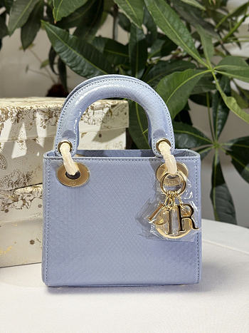Dior lady snakeskin leather bag mini size 17cm