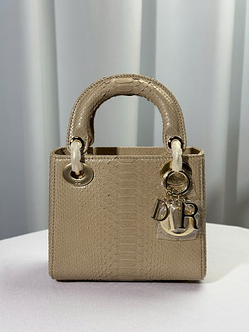 Dior lady snakeskin leather bag mini size 17cm - 01