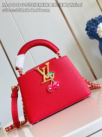 Louis Vuitton Capucines Mini red bag size  21 x 13.6 x 8 cm
