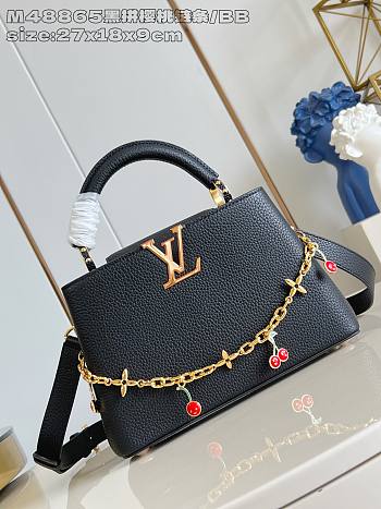 Louis Vuitton Capucines black bag size 27x18x0cm