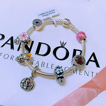 Pandora bracelet (the number of charms and the bracelet are the same as in the picture) - 01