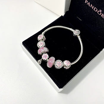 Pandora bracelet (the number of charms and the bracelet are the same as in the picture) - 05