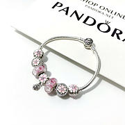 Pandora bracelet (the number of charms and the bracelet are the same as in the picture) - 05 - 5