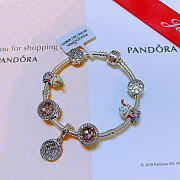 Pandora bracelet (the number of charms and the bracelet are the same as in the picture) - 06 - 5