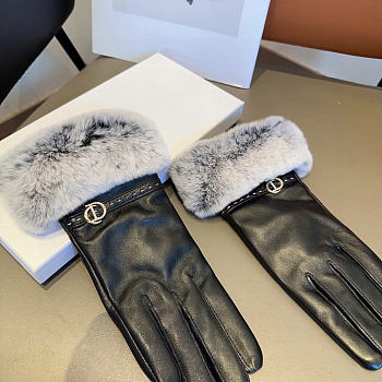 Dior Women's Gloves - 04