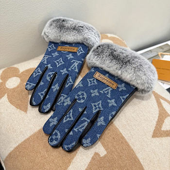 LV Women's Gloves - 010