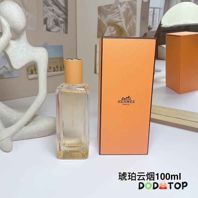 AMBRE NARGUILE Hermes Perfume 100ML - 1