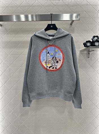 Louis Vuitton hoodie gray