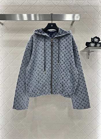 Louis Vuitton jacket gray