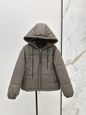 Louis Vuitton down jacket gray