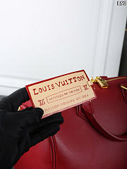  Louis Vuitton Travels With Grace Coddington Speedy Soft 30 size 21x14x30cm - 3