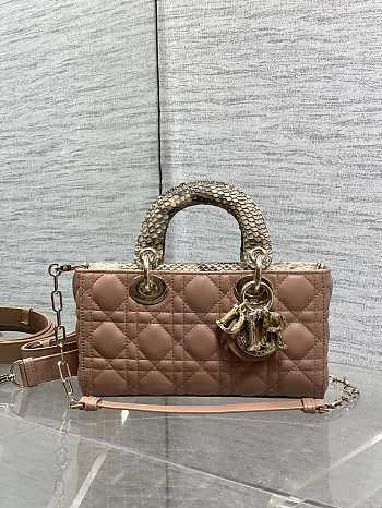 Dior lady joy brown bag size 22cm
