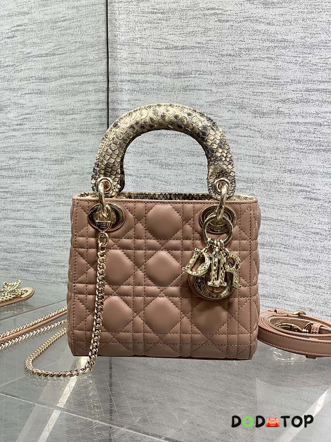 Dior lady brown bag size 17cm - 1