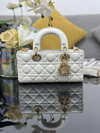 Dior Small Lady D-Joy Bag Ivory Cannage Lambskin bag size 22 x 12 x 6cm