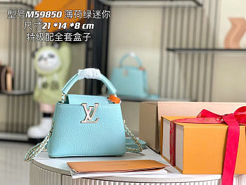 LV blue Capucines Taurillon bag size 21x14x8cm