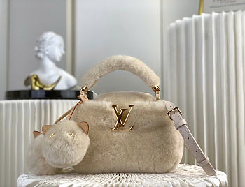 Louis Vuitton Capucines Capusnow bag size 13 x 11 x 20cm
