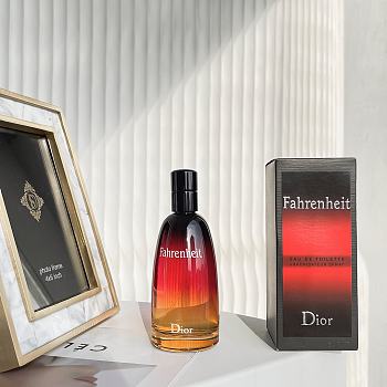 Dior Perfume 100ml - 05