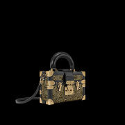 Louis Vuitton Petile malle capitale size 20x12.5x6cm - 3
