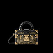 Louis Vuitton Petile malle capitale size 20x12.5x6cm - 4