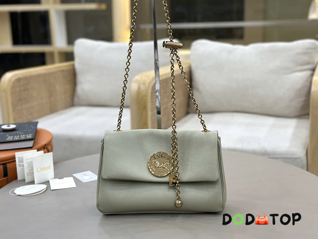 Chloe coin chain bag size 26x15x5cm - 1