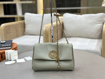 Chloe coin chain bag size 26x15x5cm
