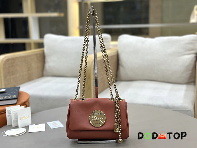 Chloe coin chain bag size 21x13x5cm - 01 - 1