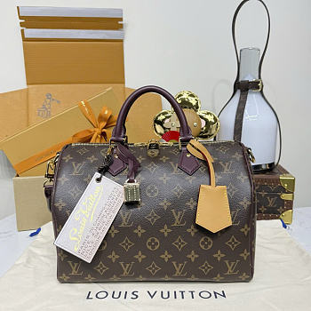 Louis Vuitton M28379 New Speedy 30 Soft Celebration bag size 30 x 21 x 17 cm