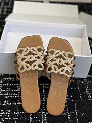 Loewe Petal Anagram slide - 01 - 1