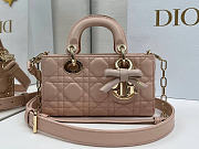 Lady D-Joy Bag Cannage Lambskin size 19×10.5×5.5 - 1