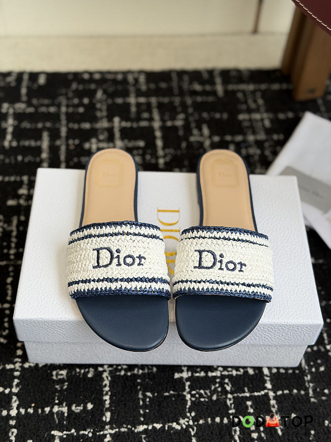 Dior Slide blue - 1
