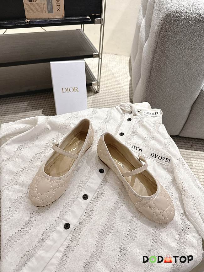 Dior Ballet Flat - 01 - 1