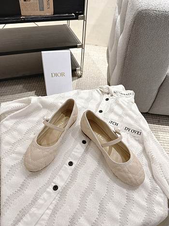 Dior Ballet Flat - 01