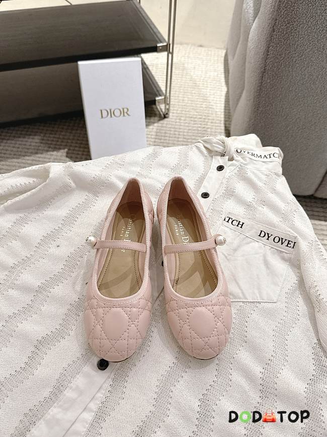 Dior Ballet Flat - 03 - 1