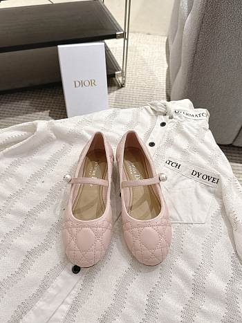 Dior Ballet Flat - 03