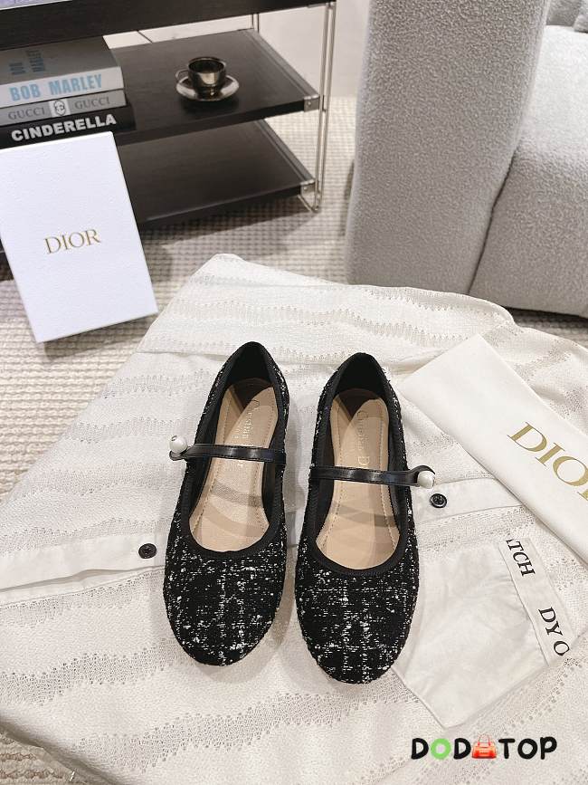 Dior Ballet Flat - 04 - 1