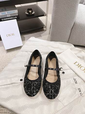 Dior Ballet Flat - 04