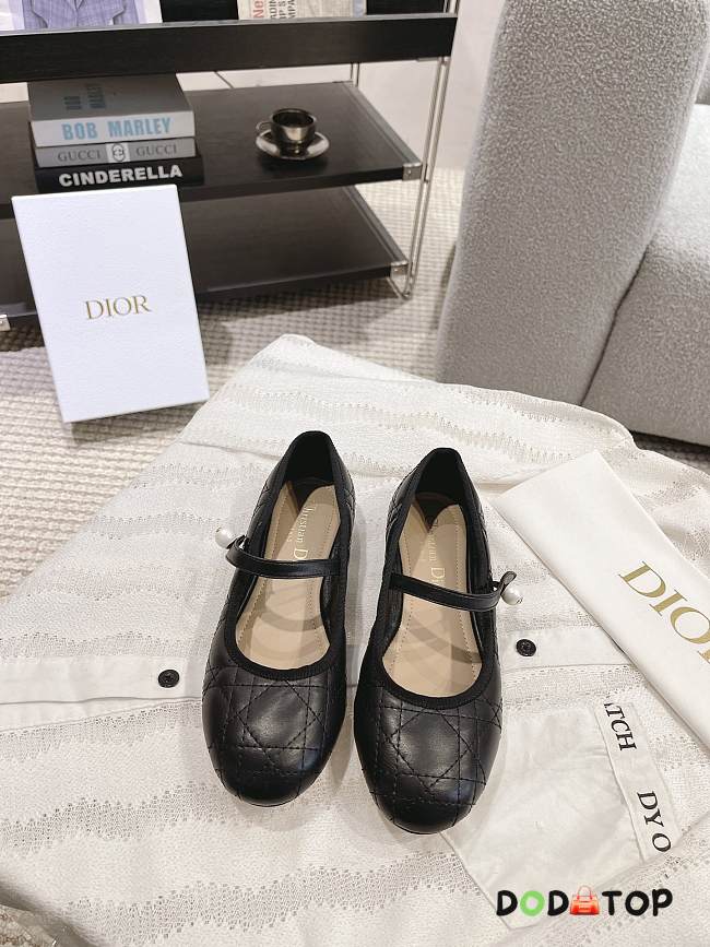 Dior Ballet Flat - 05 - 1