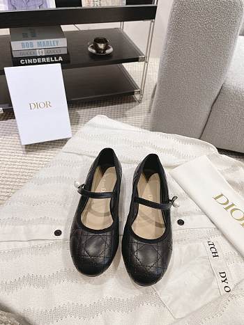 Dior Ballet Flat - 05