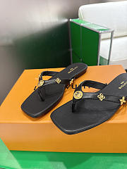 Lv slides black - 2