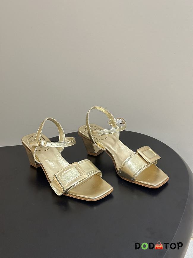 Roger Vivier Classic High heels 4.5cm -02 - 1