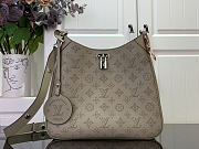 Louis Vuitton All Around PM gray bag size 25x20x6cm - 4