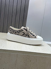 Dior sneaker gray - 6