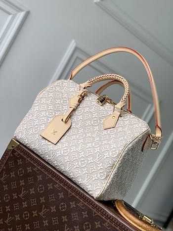 Louis Vuitton Speedy Soft 30 Monogram Peuplier bag 30x21x17cm